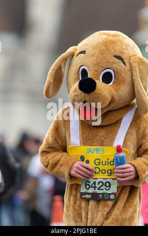 London, Großbritannien, 2. April 2023. Läufer nehmen am London Landmarks Half Marathon Teil. Der London Landmarks Half Marathon ist eine geschlossene Straße, Central London Run und ist der einzige Halbmarathon, der sowohl die City of London als auch die City of Westminster Credit Richard Lincoln/Alamy Live News durchläuft Stockfoto