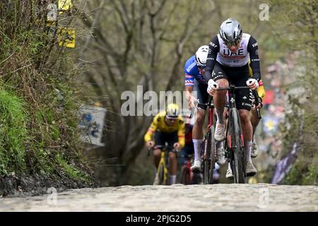 Oudenaarde, Belgien. 02. April 2023. Eintägiges Herrenrenrenrennen der „Ronde van Vlaanderen/Tour des Flandres/Tour of Flanders“, 273,4km Uhr von Brügge nach Oudenaarde, Sonntag, 02. April 2023. BELGA PHOTO DIRK WAEM Credit: Belga News Agency/Alamy Live News Stockfoto