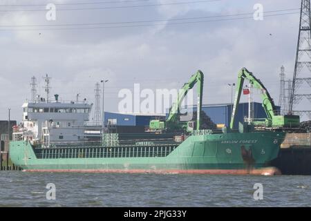 General Cargo Ship ARKLOW FOREST sah Fracht an der Docklands Wharf auf der Themse am Barking Riverside in London beladen Stockfoto