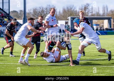 LONDON, VEREINIGTES KÖNIGREICH. 02, 2023. April. Andy Christie of Saracens (Zentrum) wird am Sonntag, den 02. April 2023, beim Heineken Championships Cup Saracens vs Ospreys im StoneX Stadium angegriffen. LONDON, ENGLAND. Kredit: Taka G Wu/Alamy Live News Stockfoto