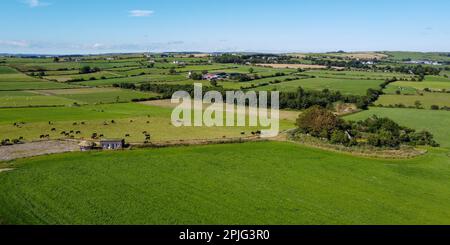 Ausgedehnte Weiden für Rinder in Irland. Malerisches Ackerland, Draufsicht. Landschaftliche Landschaft an einem sonnigen Sommertag. Die Natur. Grünes Grasfeld unter Stockfoto