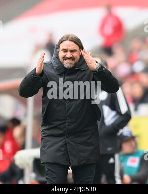 Köln/Deutschland. 2. April 2023, Coach Daniel FARKE (MG) Gesture, Gesture, Fußball 1. Bundesliga, 26. Spieltag, FC Köln (K) - Borussia Monchengladbach (MG), am 2. April 2023 in Köln/Deutschland. #DFL-Vorschriften verbieten die Verwendung von Fotografien als Bildsequenzen und/oder quasi-Video # Stockfoto