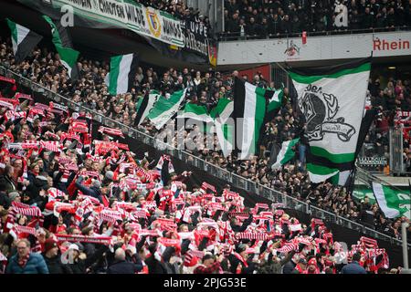 Köln/Deutschland. 2. April 2023, Feature, Fans von K and MG Soccer 1. Bundesliga, 26. Spieltag, FC Köln (K) - Borussia Monchengladbach (MG), am 2. April 2023 in Köln/Deutschland. #DFL-Vorschriften verbieten die Verwendung von Fotografien als Bildsequenzen und/oder quasi-Video # Stockfoto