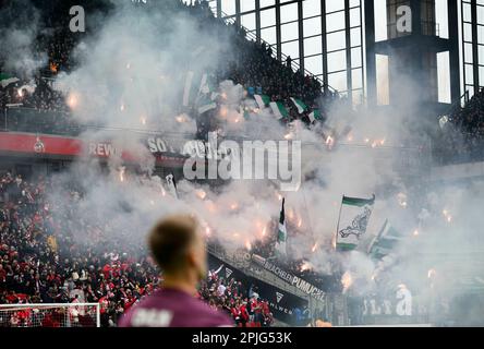Köln/Deutschland. 2. April 2023, Feature, Fans von MG Ignite Bengal Fire, Fußball 1. Bundesliga, 26. Spieltag, FC Köln (K) - Borussia Monchengladbach (MG), am 2. April 2023 in Köln/Deutschland. #DFL-Vorschriften verbieten die Verwendung von Fotografien als Bildsequenzen und/oder quasi-Video # Stockfoto