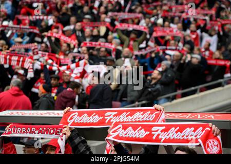 Köln/Deutschland. 2. April 2023, Spielfilm, Fans mit Schals, beliebter Fußballverein, Fußball 1. Bundesliga, 26. Spieltag, FC Köln (K) - Borussia Monchengladbach (MG), am 2. April 2023 in Köln. #DFL-Vorschriften verbieten die Verwendung von Fotografien als Bildsequenzen und/oder quasi-Video # Stockfoto