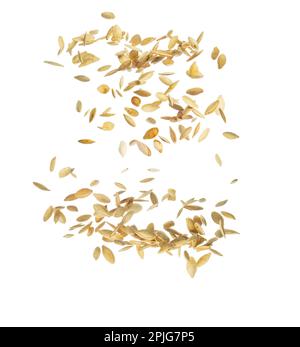 Fallende Kürbiskerne, isoliert auf weißem Hintergrund, selektiver Fokus. Null-Schwerkraft-Food-Konzept. Stockfoto