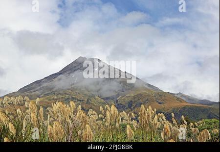 Mt Egmont und The Reed - Mt Egmont National Park, Neuseeland Stockfoto