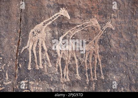 Alten Stein gravieren in der Wüste Sahara, Tadrart, Algerien Stockfoto