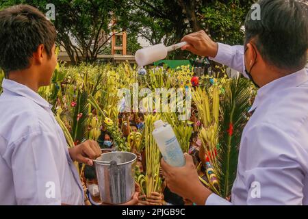 Antipolo, Philippinen. 02. April 2023. Laienminister segnete die Palmenfronten treuer Katholiken am Palmensonntag in Antipolo. Palmsonntag ist eine christliche Feier, die den triumphalen Eintritt Jesu Christi nach Jerusalem eine Woche vor seiner Sühne feiert. Sie wird am Sonntag vor Ostern beobachtet und symbolisiert den Beginn einer Heiligen Woche. Kredit: SOPA Images Limited/Alamy Live News Stockfoto