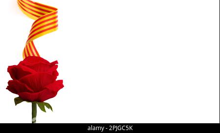 Lockige katalanische Flagge für Sant Jordi-Feier auf weißem Hintergrund und roter Rose Stockfoto