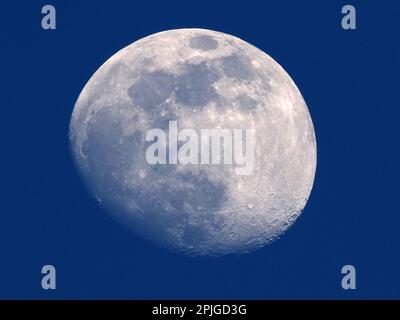 Sheerness, Kent, Großbritannien. 2. April 2023. UK Weather: Der wachsende Gibbous-Mond über Sheerness, Kent. Kredit: James Bell/Alamy Live News Stockfoto