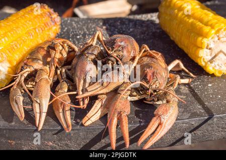 Flusskrebse und Mais Nahaufnahme. Gekochte Flusskrebse und gegrillter Mais liegen auf der Theke Stockfoto