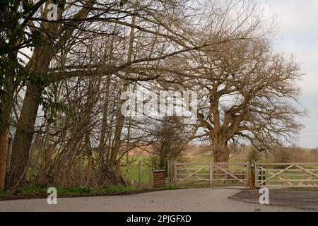 Betreten Sie den Eastnor Castle Park mit tiefer, großartiger Aussicht und dem Haupttor aus Holz. Stockfoto