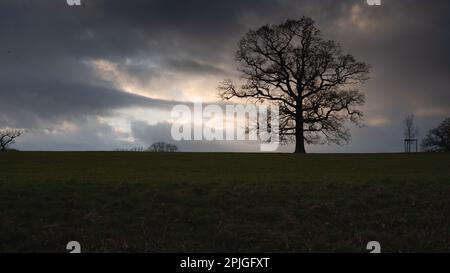 Alte Eiche auf dem Horizont, ein dunkler bewölkter Sonnenuntergang und sehr launische geheimnisvolle Bilder von Eastnor Castle Umgebung. Stockfoto