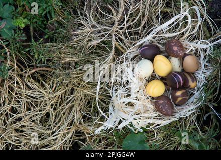 Osterschokoladeneier im Nest, versteckt im Garten. Verschiedene Farben der Schokoladenobersicht. Stockfoto