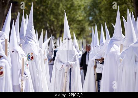 Sevilla, Spanien. 2. April 2023. Die Bußgesellen (Nazarenos) der Bruderschaft namens La Paz veranstalten ihre Parade zur Kathedrale von Sevilla am Palmensonntag, „Domingo de Ramos“ auf Spanisch. (Kreditbild: © Daniel Gonzalez Acuna/ZUMA Press Wire) NUR REDAKTIONELLE VERWENDUNG! Nicht für den kommerziellen GEBRAUCH! Stockfoto