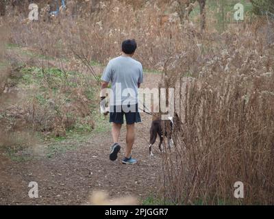 Lifestyles im Dallas Metroplex Stockfoto