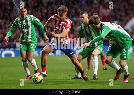 Madrid, Spanien. 02. April 2023. 02. April 2023; Civitas Metropolitano Stadium, Madrid, Spanien, spanischer La Liga Fußball, Atletico de Madrid vs Betis Llorente 900/Cordon Press Credit: CORDON PRESS/Alamy Live News Stockfoto