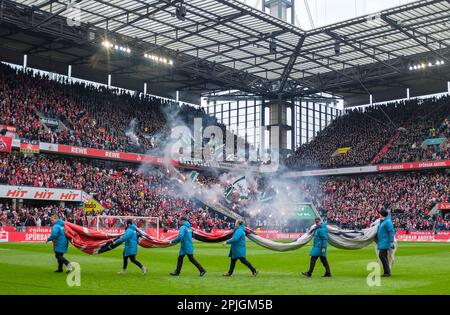 MG-Fans entzünden das Feuer im Rhein-Energie-Stadion, vor ihnen tragen Helfer ein Banner, Fußball 1. Bundesliga, 26. Spieltag, FC Köln (K) - Borussia Monchengladbach (MG) 0: 0, am 2. April 2023 in Köln/Deutschland. #DFL-Vorschriften verbieten die Verwendung von Fotografien als Bildsequenzen und/oder quasi-Video # Stockfoto