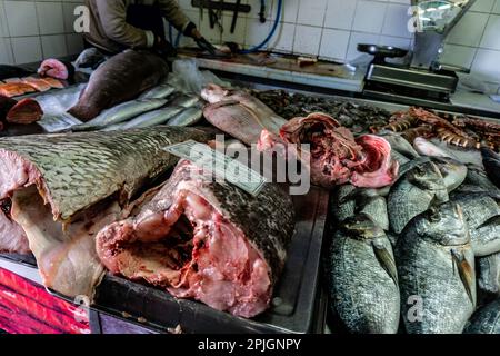 Rohes Fischfleisch zum Verkauf auf dem Fischmarkt in Quarteira, Portugal. Stockfoto