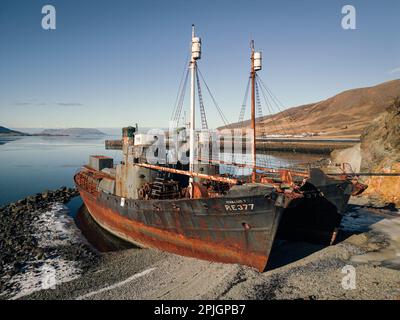 Luftaufnahme der alten verlassenen Walfänger Hvalur 6 RE-376 und Hvalur 7 RE-377 in Hvalfjörður, Island Stockfoto