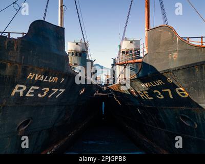 Luftaufnahme der alten verlassenen Walfänger Hvalur 6 RE-376 und Hvalur 7 RE-377 in Hvalfjörður, Island Stockfoto