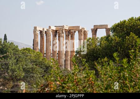 Der Tempel des Olympischen Zeus hinter der Baumgrenze in Athen, Griechenland Stockfoto