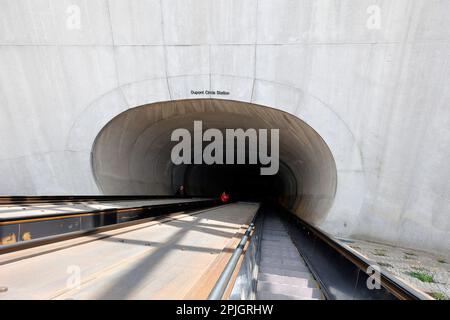 Leute, die die U-Bahn-Rolltreppen der Dupont Circle Station in DC hochfahren. Die Rolltreppen sind die längsten im DC-U-Bahn-System. Stockfoto