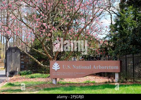 Ein Magnolienbaum hinter der Beschilderung für das US National Arboretum, Washington DC. Der Park wird vom USDA Agricultural Research Service betrieben. Stockfoto