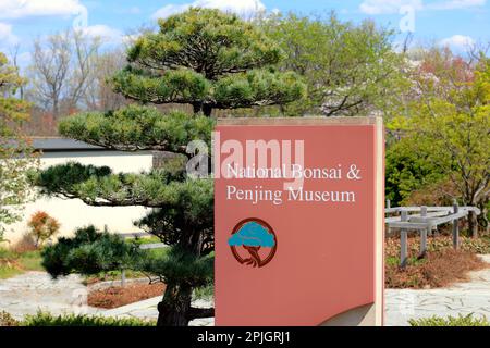 Beschilderung für das National Bonsai and Penjing Museum im US National Arboretum, Washington DC. Stockfoto