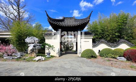 Der Dr. Yee-Sun Wu Chinese Garden Pavillon im National Bonsai und Penjing Museum im US National Arboretum, Washington DC. Stockfoto