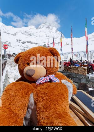 Kuscheltölpel vor einem Restaurant in Breuil Cervinia, einem Skigebiet im Aosta Valley NW Italien. Cervino alias Matterhorn Mountain dahinter Stockfoto