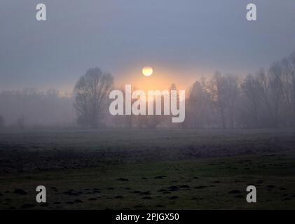 München, Bayern, Deutschland. 2. April 2023. Ein nebeliger Sonnenuntergang im Bezirk Langwied in München. (Kreditbild: © Sachelle Babbar/ZUMA Press Wire) NUR REDAKTIONELLE VERWENDUNG! Nicht für den kommerziellen GEBRAUCH! Stockfoto