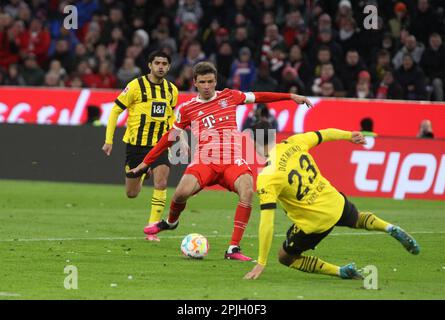 MÜNCHEN, Deutschland. , . 25 Thomas MUELLER, MŸller in Aktion während des Bundesliga Fußballspiels zwischen dem FC Bayern München und dem BVB Dortmund in der Allianz Arena in München am 1. April 2023, Deutschland. DFL, Fussball, 4:2 (Foto und Copyright @ ATP images/Arthur THILL (THILL Arthur/ATP/SPP) Kredit: SPP Sport Press Photo. Alamy Live News Stockfoto