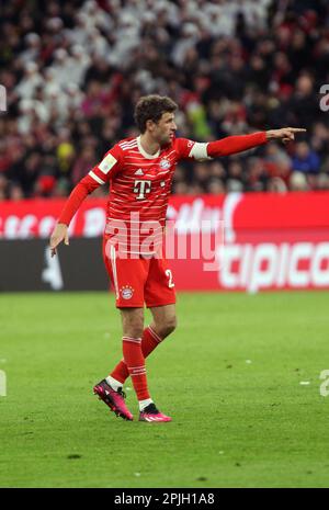 MÜNCHEN, Deutschland. , . 25 Thomas MUELLER, MŸller in Aktion während des Bundesliga Fußballspiels zwischen dem FC Bayern München und dem BVB Dortmund in der Allianz Arena in München am 1. April 2023, Deutschland. DFL, Fussball, 4:2 (Foto und Copyright @ ATP images/Arthur THILL (THILL Arthur/ATP/SPP) Kredit: SPP Sport Press Photo. Alamy Live News Stockfoto