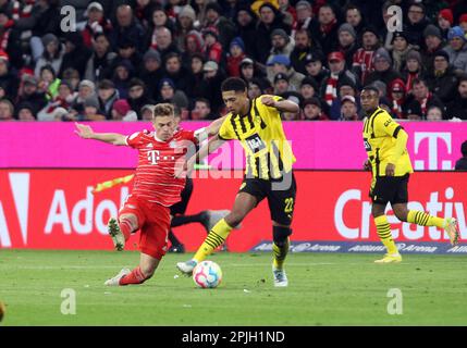 MÜNCHEN, Deutschland. , . Joshua KIMMICH und 22 Jude BELLINGHAM (K) während des Bundesliga-Fußballspiels zwischen dem FC Bayern Muenchen und dem BVB Dortmund in der Allianz Arena in München am 1. April 2023, Deutschland. DFL, Fussball, 4:2 (Foto und Copyright @ ATP images/Arthur THILL (THILL Arthur/ATP/SPP) Kredit: SPP Sport Press Photo. Alamy Live News Stockfoto