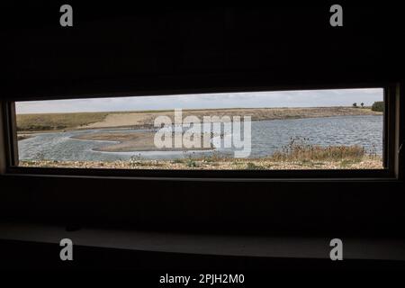 Roost Hide bei RSPB Snettisham. Ruhende Herde von hauptsächlich Austernfressern bei Herbstflut Stockfoto