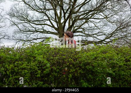 London, Großbritannien. 01. April 2023 Riesenpuppe, globales Symbol der Menschenrechte Little Amal Walking through Hampstead Heath © Waldemar Sikora Stockfoto