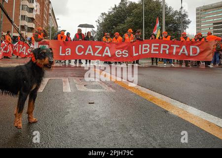 Pamplona, Navarra, Spanien. 2. April 2023. Demonstranten halten ein Banner und einen Jag Terrier, einen deutschen Jagdhund, der bei der Demonstration zugunsten der Jagd und unter Ablehnung des neuen Tierschutzgesetzes der Regierung von Pedro SÂ·nchez in Spanien gesehen wurde. Durch die Straßen von Pamplona, Navarra, wurde eine Demonstration gegen das Tierschutzgesetz durchgeführt. (Kreditbild: © Elsa A Bravo/SOPA Images via ZUMA Press Wire) NUR REDAKTIONELLE VERWENDUNG! Nicht für den kommerziellen GEBRAUCH! Stockfoto