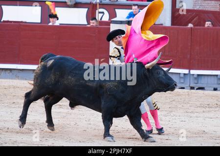 Madrid, Spanien. 02. April 2023. Stierkämpfer Gomez del Pilar während des Stierkampfs am Palm Sunday in der Stierkampfarena Las Ventas in Madrid gesehen. Kredit: SOPA Images Limited/Alamy Live News Stockfoto