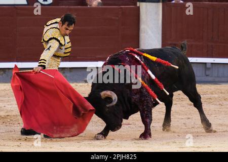 Madrid, Spanien. 02. April 2023. Stierkämpfer Gomez del Pilar während des Stierkampfs am Palm Sunday in der Stierkampfarena Las Ventas in Madrid gesehen. Kredit: SOPA Images Limited/Alamy Live News Stockfoto