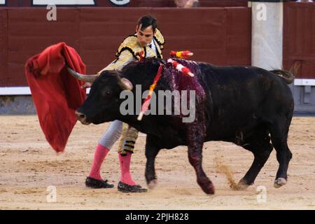 Madrid, Spanien. 02. April 2023. Stierkämpfer Gomez del Pilar während des Stierkampfs am Palm Sunday in der Stierkampfarena Las Ventas in Madrid gesehen. Kredit: SOPA Images Limited/Alamy Live News Stockfoto