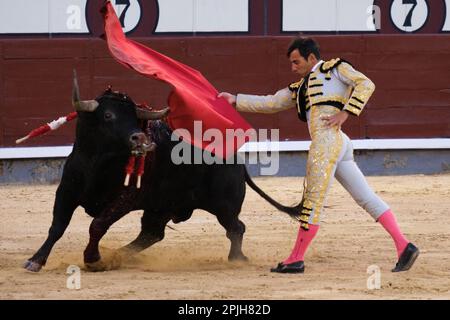 Madrid, Spanien. 02. April 2023. Stierkämpfer Gomez del Pilar während des Stierkampfs am Palm Sunday in der Stierkampfarena Las Ventas in Madrid gesehen. Kredit: SOPA Images Limited/Alamy Live News Stockfoto