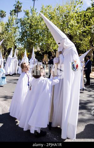 Sevilla, Spanien. 2. April 2023. Die jungen Bußgesellen der Bruderschaft namens „La Paz“ sprechen während der Parade zur Kathedrale von Sevilla am Palmensonntag über „Domingo de Ramos“ auf Spanisch (Kreditbild: © Daniel Gonzalez Acuna/ZUMA Press Wire), NUR REDAKTIONELLE VERWENDUNG! Nicht für den kommerziellen GEBRAUCH! Stockfoto