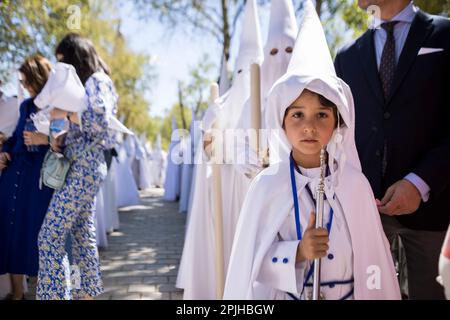 Sevilla, Spanien. 2. April 2023. Ein junger nazareno der Bruderschaft namens „La Paz“ während seiner Parade zur Kathedrale von Sevilla am Palmsonntag, „Domingo de Ramos“ auf Spanisch (Kreditbild: © Daniel Gonzalez Acuna/ZUMA Press Wire), NUR REDAKTIONELLE VERWENDUNG! Nicht für den kommerziellen GEBRAUCH! Stockfoto