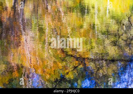 Reflexionen bunter Bäume und blauer Himmel erzeugen ein wunderschönes abstraktes Muster auf der gewellten Oberfläche eines Teiches im Herbst. Stockfoto