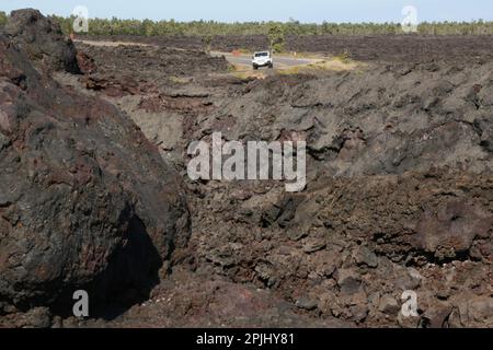 Alte Lava Felder, Hawaii Volcanoes Nationalpark, Hawaii Stockfoto