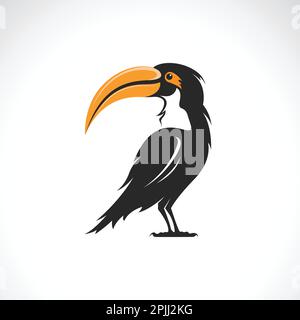 Vektor eines Hornvogel-Designs auf weißem Hintergrund. Vogel. Wilde Tiere. Stock Vektor