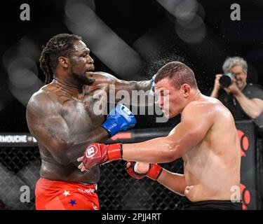 Menifee, Kalifornien, USA. 31. März 2023. DANIEL JAMES besiegte MARCELO GOLM über TKO (Punches) ''“ Runde 3, 0:26 Penchanga Hotel Casino (Kreditbild: © Ardie Crenshaw/ZUMA Press Wire) NUR REDAKTIONELLE VERWENDUNG! Nicht für den kommerziellen GEBRAUCH! Stockfoto