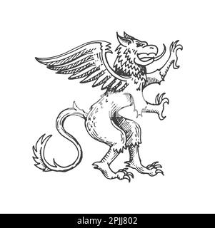 Griffin oder gryphon, mittelalterliche heraldische Tierskizze. Legende Greif, Fantasy-Kreatur oder Mythologie-Tier königliches, ätzendes Vektorzeichen. Magischer Tiermantel Stock Vektor